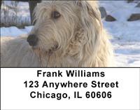 Irish Wolfhounds Address Labels