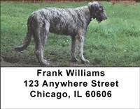 Irish Wolfhounds Address Labels