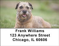 Border Terriers Address Labels