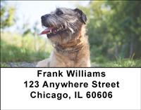 Border Terriers Address Labels