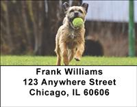 Playful Border Terriers Address Labels