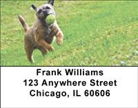 Playful Border Terriers Address Labels