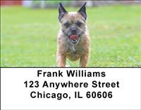 Playful Border Terriers Address Labels
