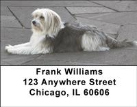 Old English Sheepdogs Address Labels