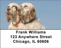English Setters Address Labels