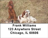 English Setters Address Labels