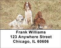 English Setters Address Labels