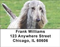 Grey Afghan Hounds Address Labels