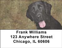 Flat-Coated Retrievers Address Labels