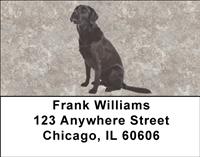 Flat-Coated Retrievers Address Labels