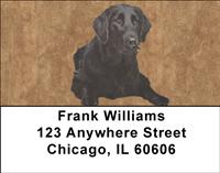 Flat-Coated Retrievers Address Labels