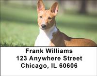 Basenjis Address Labels