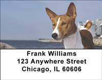 Basenjis Address Labels