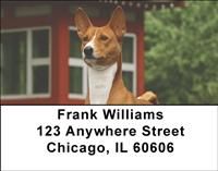 Basenjis Address Labels