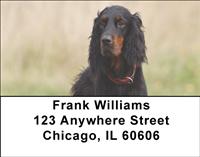 Gordon Setters Address Labels