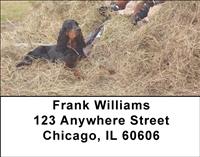 Gordon Setters Address Labels