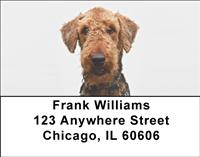 Welsh Terriers Address Labels