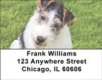 Wire Fox Terriers Address Labels