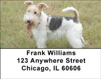 Wire Fox Terriers Address Labels