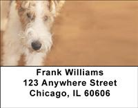 Wire Fox Terriers Address Labels