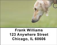 Borzois Address Labels