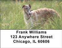 Borzois Address Labels