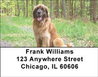 Leonbergers Address Labels