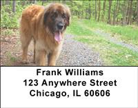 Leonbergers Address Labels