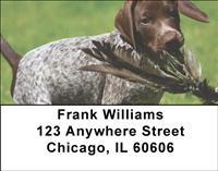 Pointer Puppies Address Labels