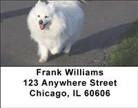 American Eskimo Dogs Address Labels