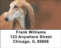 Salukis Address Labels