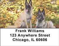 Belgian Sheepdogs Address Labels