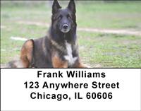 Belgian Sheepdogs Address Labels