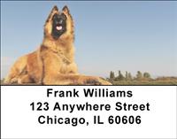 Belgian Sheepdogs Address Labels