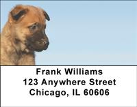 Belgian Sheepdog Puppies Address Labels