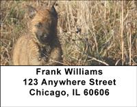 Belgian Sheepdog Puppies Address Labels
