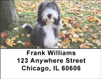 Bearded Collies Address Labels
