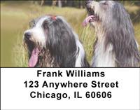 Bearded Collies Address Labels