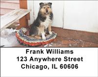 Bearded Collies Address Labels
