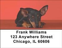 Manchester Terriers Address Labels
