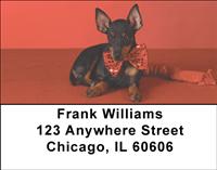 Manchester Terriers Address Labels