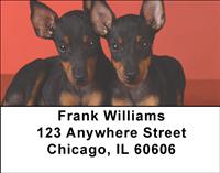 Manchester Terriers Address Labels