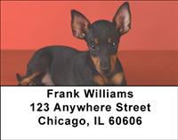 Manchester Terriers Address Labels