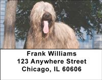 Briards Address Labels