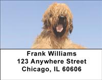 Briards Address Labels
