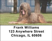 Briards Address Labels