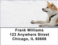 Cute Akitas Address Labels