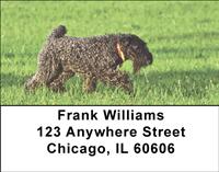 Kerry Blue Terriers Address Labels
