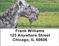 Kerry Blue Terriers Address Labels