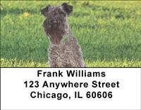 Kerry Blue Terriers Address Labels